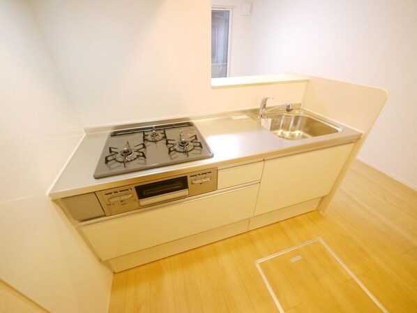 ロイジェントパークス草加手代 Bの物件内観写真